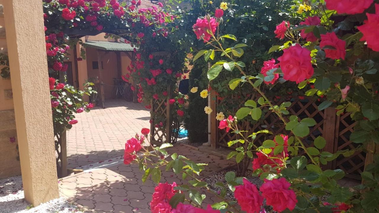 Pensiunea Dunavis Orşova Buitenkant foto